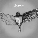 SODIUM_1