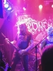 THRONEHAMMER_WILT_1
