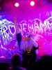 THRONEHAMMER_WILT_3