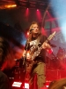 MOSH IM MAI _1